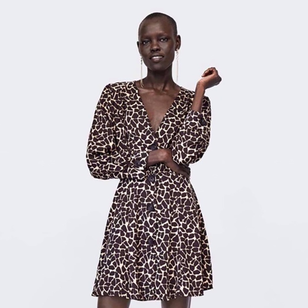 Zara Brown and Tan Animal Print A -Line Mini Dress